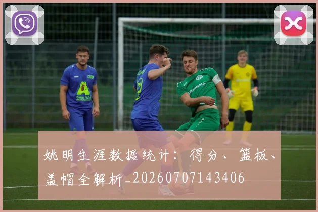 姚明生涯数据统计：得分、篮板、盖帽全解析_20260707143406