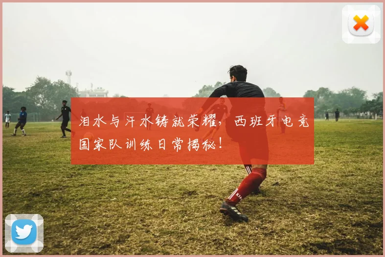 泪水与汗水铸就荣耀，西班牙电竞国家队训练日常揭秘！