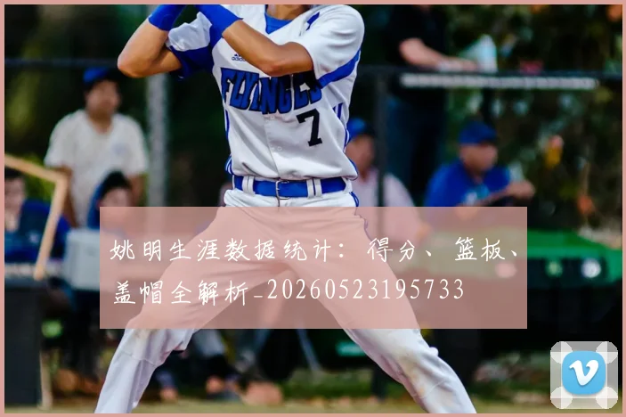 姚明生涯数据统计：得分、篮板、盖帽全解析_20260523195733