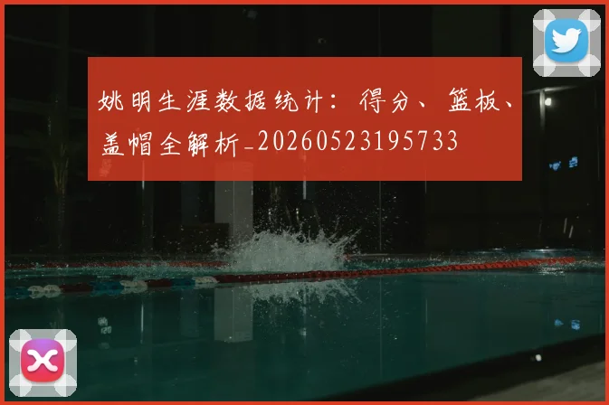 姚明生涯数据统计:得分、篮板、盖帽全解析_20260523195733