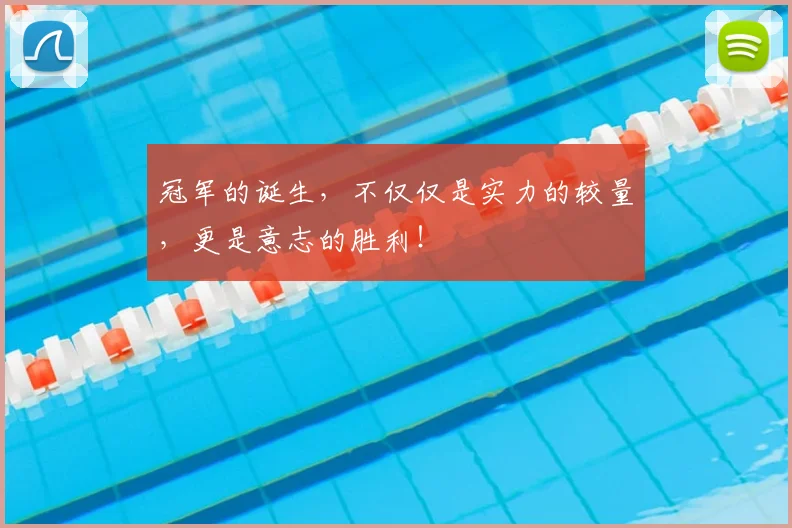 冠军的诞生,不仅仅是实力的较量,更是意志的胜利!