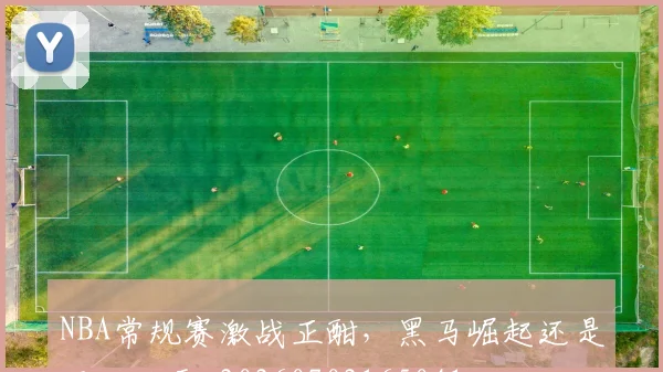 NBA常规赛激战正酣，黑马崛起还是强队称霸_20260702165041